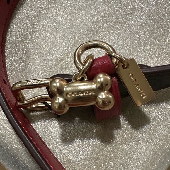 COACH PET DOG COLLAR AND LEASH set brown black red apple New Pretty last set - Picture 8 of 16